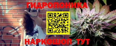 ПСИЛОЦИБИНОВЫЕ ГРИБЫ Краснодар
