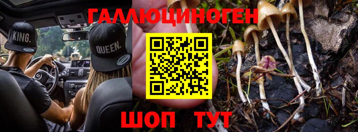 Галлюциногенные грибы Cubensis Киров