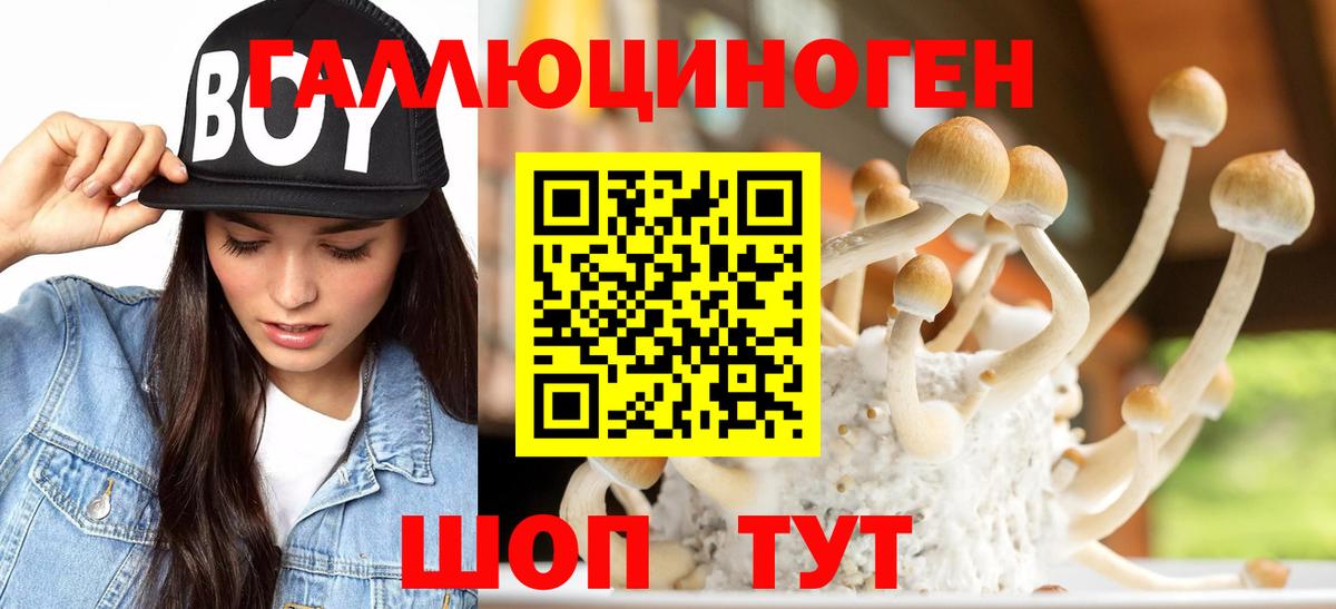 Псилоцибиновые грибы MAGIC MUSHROOMS  Вход с VPN  Галлюциногенные грибы мицелий  Киров 